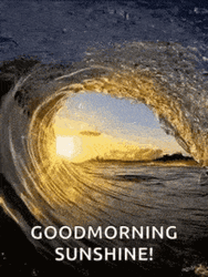 Goof Morning Sunshine Beach Big Wave GIF