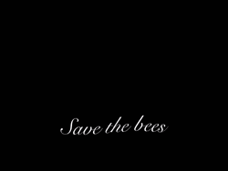 Goofy Ahh Save The Bees GIF
