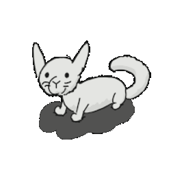 Goofy Cat Sticker GIF