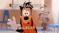 Goofy Have A Great Day