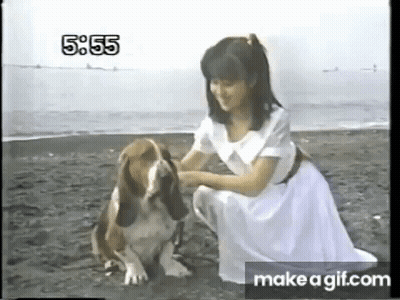 Google Search 7% Of 1543 720,000 Results GIF
