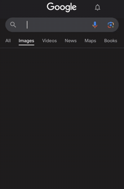 Google Search UFC LHW GOAT GIF