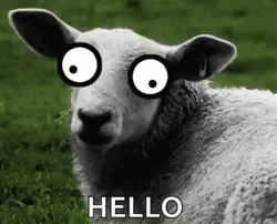 Googly Eyes Grey Sheep Hello GIF