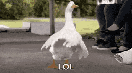 Goose Dance GIF