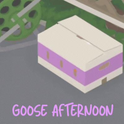 Goose In Cardboard Box With Goose Afternoon GIF