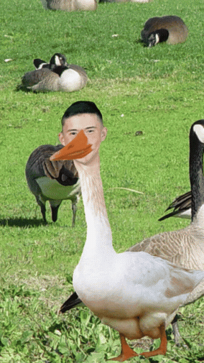 Goose With Man Face On Its Head GIF