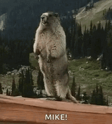Gopher Shouting Mike Mike Mike GIF