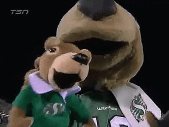 Gophers Mascot With Plushie GIF