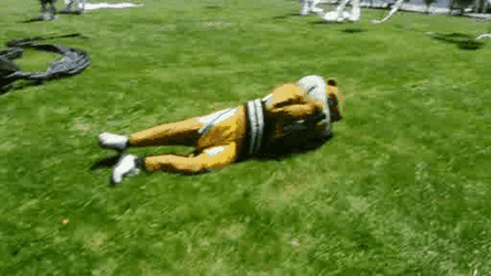 Gophers Rolls On The Ground GIF
