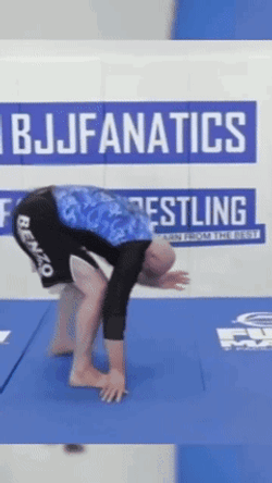 Gordon Ryan Craig Jones GIF