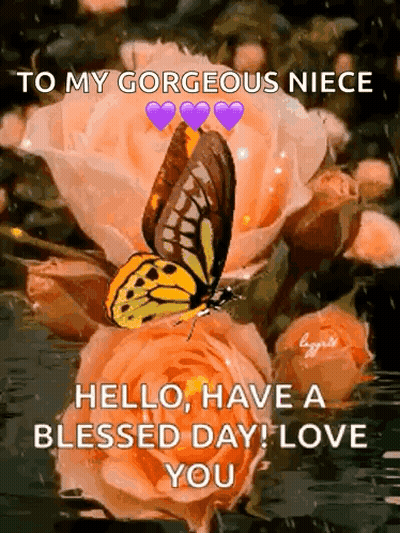 Gorgeous Niece Hello Have A Blessed Day Love You GIF