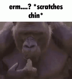 Gorilla Chin Scratching GIF