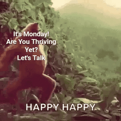 Gorilla Dancing Crazy Monday GIF