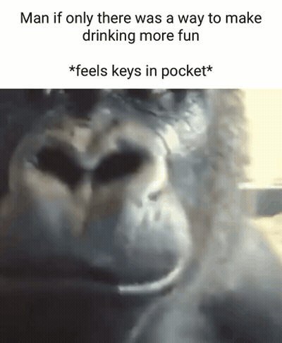 Gorilla Face Saying Man If Only There Was A Way To Make Drinking More Fun GIF