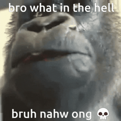Gorilla Face With Bro What Words GIF