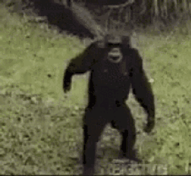 Gorilla Hand It Over GIF