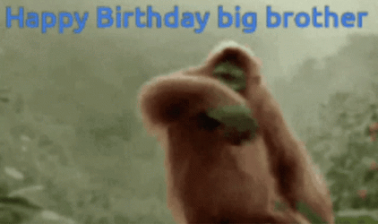 Gorilla Happy Birthday Bro GIF