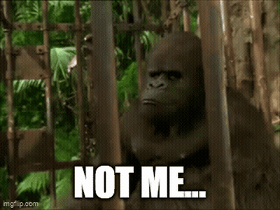 Gorilla In Cage Saying Not Me GIF
