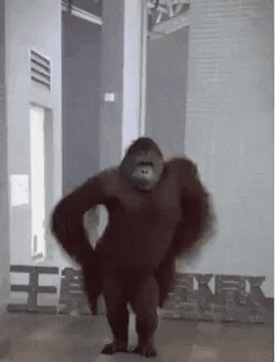 Gorilla In Front Of King Kong Sign GIF