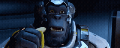Gorilla In Helmet And Glasses Eating Banana GIF