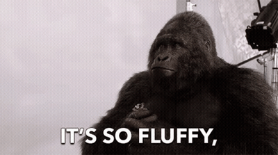 Gorilla It's So Fluffy GIF
