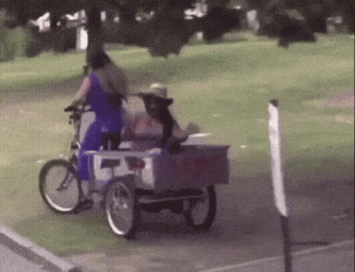 Gorilla Pushing Girl In Red Wagon Saying When The Going Gets Tough GIF
