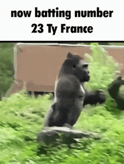 Gorilla Running Through Grassy Field Now Batting Number 23 Ty France GIF