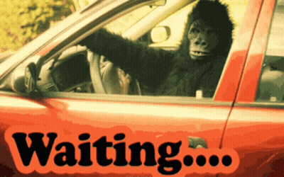 Gorilla Sitting In Red Car Saying Waiting GIF