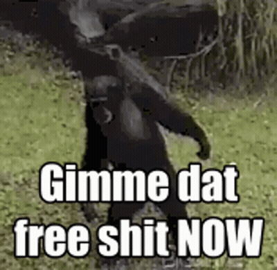 Gorilla Standing In Grassy Field Saying Gimme Dat Free Shit Now GIF