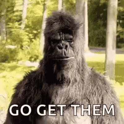 Gorilla Standing In Woods Go Get Them GIF