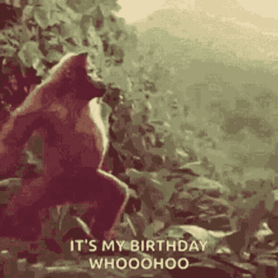 Gorilla Standing In Woods Saying It's My Birthday Whooohoo GIF