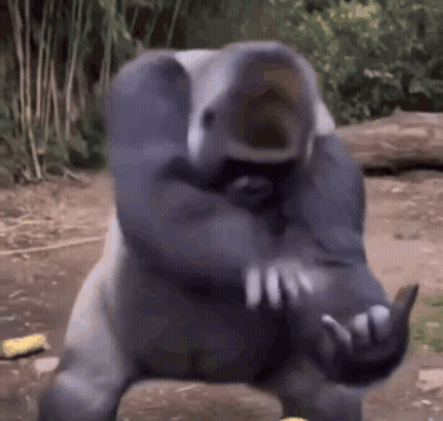 Gorilla Standing On Rock Making Funny Face GIF