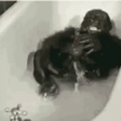 Gorilla Taking A Bath With Foam GIF