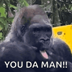 Gorilla The Man GIF
