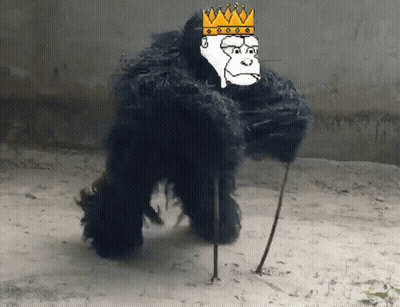 Gorilla Wearing Crown GIF
