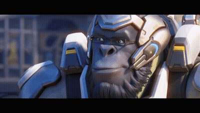 Gorilla Wearing Glasses And Helmet With Warning Sign GIF