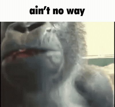 Gorilla With Ain't No Way Text GIF