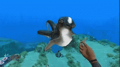 Got Any Games Phone Screen GIF