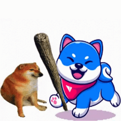 Got Hit By A Cat Doge Meme GIF