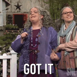 Got It Aidy Bryant GIF