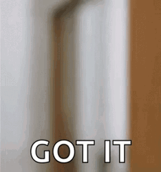 Got It GIF