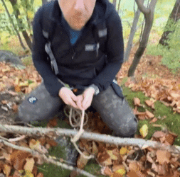 Got To Clean The Bush GIF