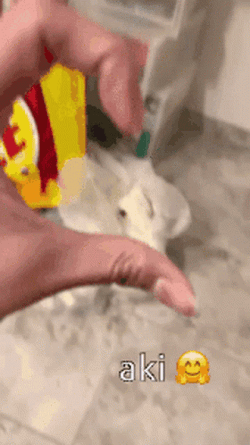 Gottem Hand Sign GIF