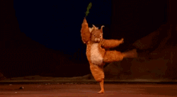 Graceful Ballet Dancer Dancing Squirrel GIF