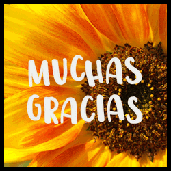 Gracias Lsm GIF