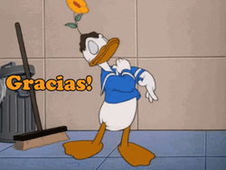 Gracias Meme GIF