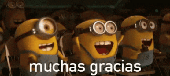 Gracias Meme GIF
