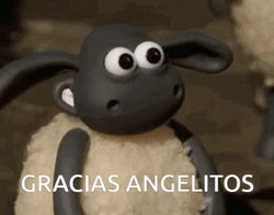 Gracias Meme GIF