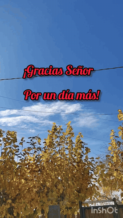Gracias Señor Por Un Dia Mas Sign With Trees GIF