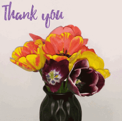 Gracias Thank You Tulip In Vase GIF
